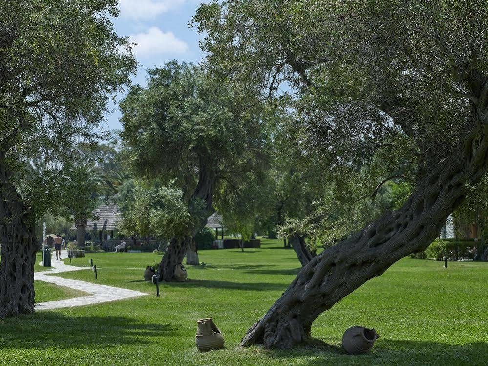 Dassia Chandris Limni  Exterior foto